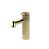 PVD polished gold